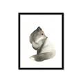 Picture of Brown Fox _GroupedProduct_Rectangle_Portrait_Mini_ _GroupedProduct_Rectangle_Portrait_Framed_Matted_