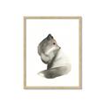 Picture of Brown Fox _GroupedProduct_Rectangle_Portrait_Mini_ _GroupedProduct_Rectangle_Portrait_Framed_Matted_