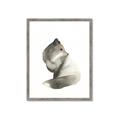 Picture of Brown Fox _GroupedProduct_Rectangle_Portrait_Mini_ _GroupedProduct_Rectangle_Portrait_Framed_Matted_
