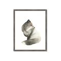 Picture of Brown Fox _GroupedProduct_Rectangle_Portrait_Mini_ _GroupedProduct_Rectangle_Portrait_Framed_Matted_