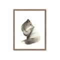 Picture of Brown Fox _GroupedProduct_Rectangle_Portrait_Mini_ _GroupedProduct_Rectangle_Portrait_Framed_Matted_