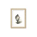 Picture of Brown Fox _GroupedProduct_Rectangle_Portrait_Mini_ _GroupedProduct_Rectangle_Portrait_Framed_Matted_