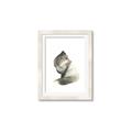 Picture of Brown Fox _GroupedProduct_Rectangle_Portrait_Mini_ _GroupedProduct_Rectangle_Portrait_Framed_Matted_