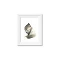 Picture of Brown Fox _GroupedProduct_Rectangle_Portrait_Mini_ _GroupedProduct_Rectangle_Portrait_Framed_Matted_