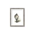 Picture of Brown Fox _GroupedProduct_Rectangle_Portrait_Mini_ _GroupedProduct_Rectangle_Portrait_Framed_Matted_