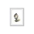 Picture of Brown Fox _GroupedProduct_Rectangle_Portrait_Mini_ _GroupedProduct_Rectangle_Portrait_Framed_Matted_