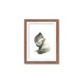 Picture of Brown Fox _GroupedProduct_Rectangle_Portrait_Mini_ _GroupedProduct_Rectangle_Portrait_Framed_Matted_