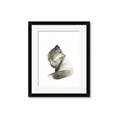 Picture of Brown Fox _GroupedProduct_Rectangle_Portrait_Mini_ _GroupedProduct_Rectangle_Portrait_Framed_Matted_