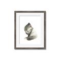 Picture of Brown Fox _GroupedProduct_Rectangle_Portrait_Mini_ _GroupedProduct_Rectangle_Portrait_Framed_Matted_