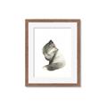 Picture of Brown Fox _GroupedProduct_Rectangle_Portrait_Mini_ _GroupedProduct_Rectangle_Portrait_Framed_Matted_