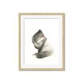 Picture of Brown Fox _GroupedProduct_Rectangle_Portrait_Mini_ _GroupedProduct_Rectangle_Portrait_Framed_Matted_