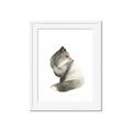 Picture of Brown Fox _GroupedProduct_Rectangle_Portrait_Mini_ _GroupedProduct_Rectangle_Portrait_Framed_Matted_