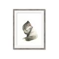 Picture of Brown Fox _GroupedProduct_Rectangle_Portrait_Mini_ _GroupedProduct_Rectangle_Portrait_Framed_Matted_