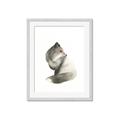 Picture of Brown Fox _GroupedProduct_Rectangle_Portrait_Mini_ _GroupedProduct_Rectangle_Portrait_Framed_Matted_