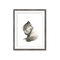 Picture of Brown Fox _GroupedProduct_Rectangle_Portrait_Mini_ _GroupedProduct_Rectangle_Portrait_Framed_Matted_