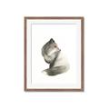 Picture of Brown Fox _GroupedProduct_Rectangle_Portrait_Mini_ _GroupedProduct_Rectangle_Portrait_Framed_Matted_