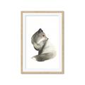 Picture of Brown Fox _GroupedProduct_Rectangle_Portrait_Mini_ _GroupedProduct_Rectangle_Portrait_Framed_Matted_
