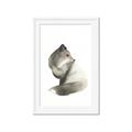 Picture of Brown Fox _GroupedProduct_Rectangle_Portrait_Mini_ _GroupedProduct_Rectangle_Portrait_Framed_Matted_