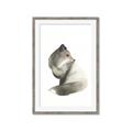 Picture of Brown Fox _GroupedProduct_Rectangle_Portrait_Mini_ _GroupedProduct_Rectangle_Portrait_Framed_Matted_