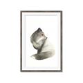 Picture of Brown Fox _GroupedProduct_Rectangle_Portrait_Mini_ _GroupedProduct_Rectangle_Portrait_Framed_Matted_
