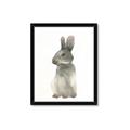 Picture of Brown Bunny _GroupedProduct_Rectangle_Portrait_Mini_ _GroupedProduct_Rectangle_Portrait_Framed_Matted_