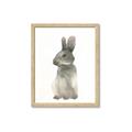Picture of Brown Bunny _GroupedProduct_Rectangle_Portrait_Mini_ _GroupedProduct_Rectangle_Portrait_Framed_Matted_