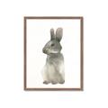 Picture of Brown Bunny _GroupedProduct_Rectangle_Portrait_Mini_ _GroupedProduct_Rectangle_Portrait_Framed_Matted_