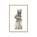 Picture of Brown Bunny _GroupedProduct_Rectangle_Portrait_Mini_ _GroupedProduct_Rectangle_Portrait_Framed_Matted_