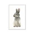 Picture of Brown Bunny _GroupedProduct_Rectangle_Portrait_Mini_ _GroupedProduct_Rectangle_Portrait_Framed_Matted_