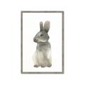 Picture of Brown Bunny _GroupedProduct_Rectangle_Portrait_Mini_ _GroupedProduct_Rectangle_Portrait_Framed_Matted_
