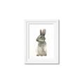 Picture of Brown Bunny _GroupedProduct_Rectangle_Portrait_Mini_ _GroupedProduct_Rectangle_Portrait_Framed_Matted_