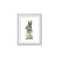 Picture of Brown Bunny _GroupedProduct_Rectangle_Portrait_Mini_ _GroupedProduct_Rectangle_Portrait_Framed_Matted_