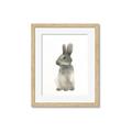 Picture of Brown Bunny _GroupedProduct_Rectangle_Portrait_Mini_ _GroupedProduct_Rectangle_Portrait_Framed_Matted_