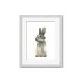 Picture of Brown Bunny _GroupedProduct_Rectangle_Portrait_Mini_ _GroupedProduct_Rectangle_Portrait_Framed_Matted_
