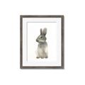 Picture of Brown Bunny _GroupedProduct_Rectangle_Portrait_Mini_ _GroupedProduct_Rectangle_Portrait_Framed_Matted_