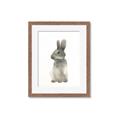 Picture of Brown Bunny _GroupedProduct_Rectangle_Portrait_Mini_ _GroupedProduct_Rectangle_Portrait_Framed_Matted_