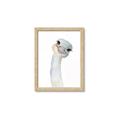 Picture of Ostrich Peekaboo _GroupedProduct_Rectangle_Portrait_Mini_ _GroupedProduct_Rectangle_Portrait_Framed_Matted_