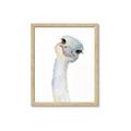 Picture of Ostrich Peekaboo _GroupedProduct_Rectangle_Portrait_Mini_ _GroupedProduct_Rectangle_Portrait_Framed_Matted_