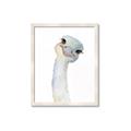 Picture of Ostrich Peekaboo _GroupedProduct_Rectangle_Portrait_Mini_ _GroupedProduct_Rectangle_Portrait_Framed_Matted_
