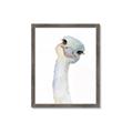 Picture of Ostrich Peekaboo _GroupedProduct_Rectangle_Portrait_Mini_ _GroupedProduct_Rectangle_Portrait_Framed_Matted_