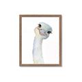 Picture of Ostrich Peekaboo _GroupedProduct_Rectangle_Portrait_Mini_ _GroupedProduct_Rectangle_Portrait_Framed_Matted_