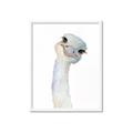 Picture of Ostrich Peekaboo _GroupedProduct_Rectangle_Portrait_Mini_ _GroupedProduct_Rectangle_Portrait_Framed_Matted_