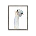 Picture of Ostrich Peekaboo _GroupedProduct_Rectangle_Portrait_Mini_ _GroupedProduct_Rectangle_Portrait_Framed_Matted_