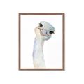 Picture of Ostrich Peekaboo _GroupedProduct_Rectangle_Portrait_Mini_ _GroupedProduct_Rectangle_Portrait_Framed_Matted_
