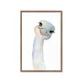 Picture of Ostrich Peekaboo _GroupedProduct_Rectangle_Portrait_Mini_ _GroupedProduct_Rectangle_Portrait_Framed_Matted_