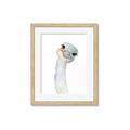 Picture of Ostrich Peekaboo _GroupedProduct_Rectangle_Portrait_Mini_ _GroupedProduct_Rectangle_Portrait_Framed_Matted_