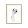 Picture of Ostrich Peekaboo _GroupedProduct_Rectangle_Portrait_Mini_ _GroupedProduct_Rectangle_Portrait_Framed_Matted_