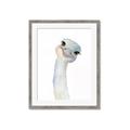 Picture of Ostrich Peekaboo _GroupedProduct_Rectangle_Portrait_Mini_ _GroupedProduct_Rectangle_Portrait_Framed_Matted_