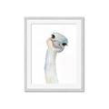 Picture of Ostrich Peekaboo _GroupedProduct_Rectangle_Portrait_Mini_ _GroupedProduct_Rectangle_Portrait_Framed_Matted_
