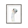 Picture of Ostrich Peekaboo _GroupedProduct_Rectangle_Portrait_Mini_ _GroupedProduct_Rectangle_Portrait_Framed_Matted_